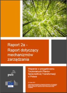 Raport dotyczący mechanizmów zarządzania-image