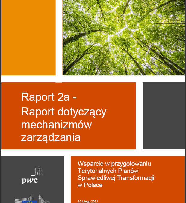 Raport dotyczący mechanizmów zarządzania